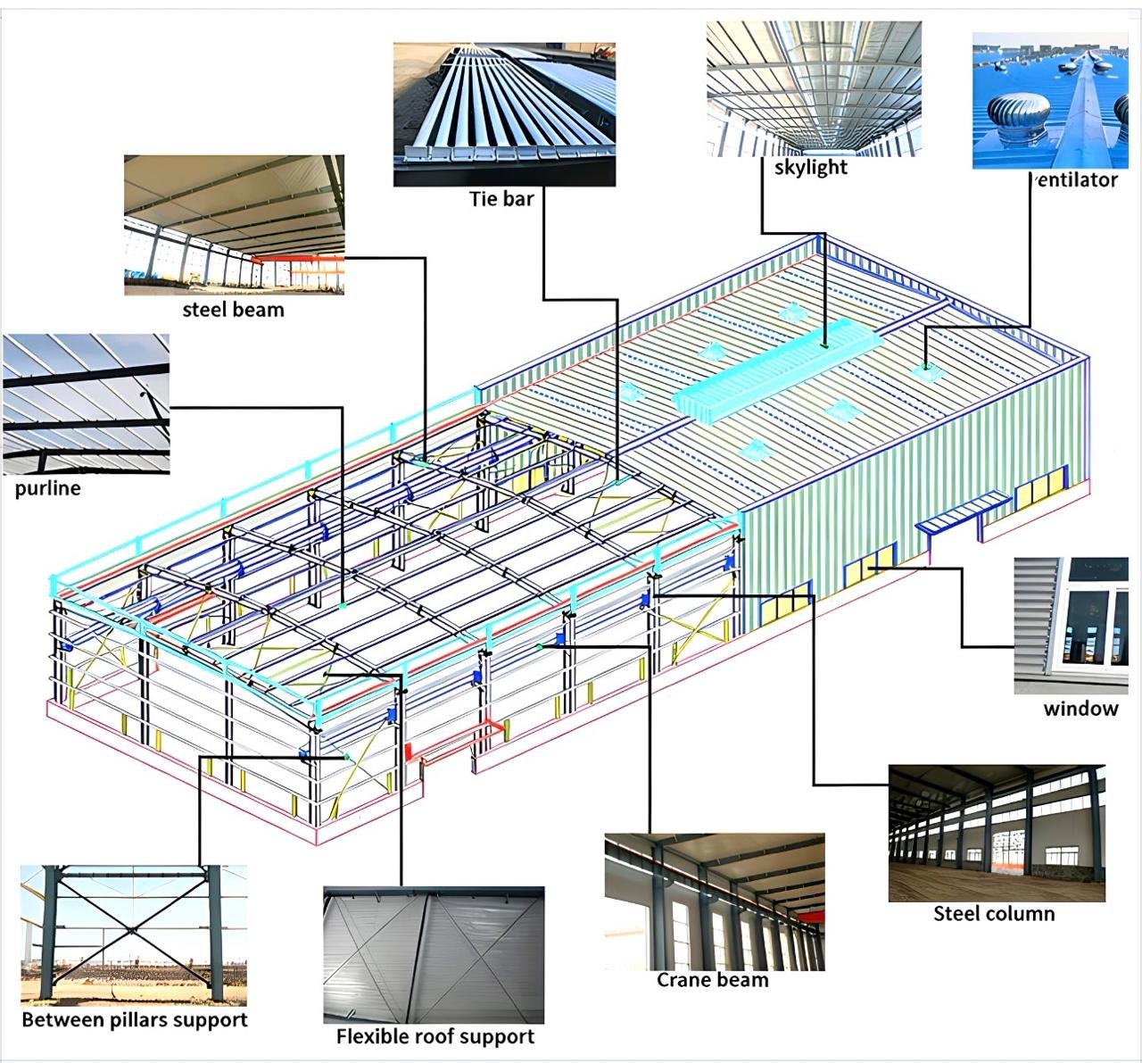 Anatomy of a steel building — labelled components: steel beam, purline, tie bar, skylight, ventilator, steel column, window, crane beam, flexible roof support, between pillars support